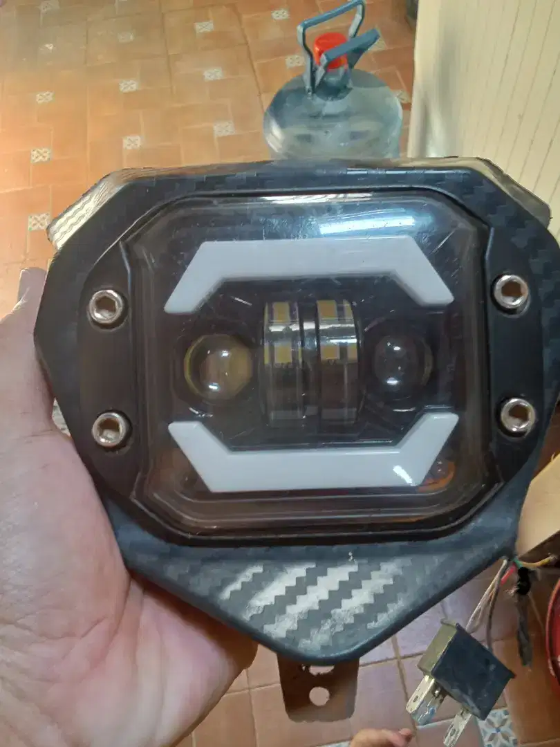 Biled led crf mulus