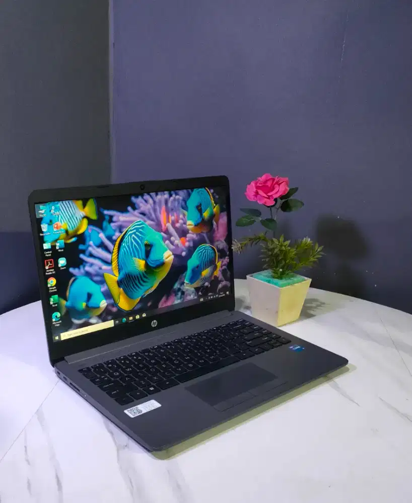 HP 240 G8 I5 GEN11 SSD 512GB