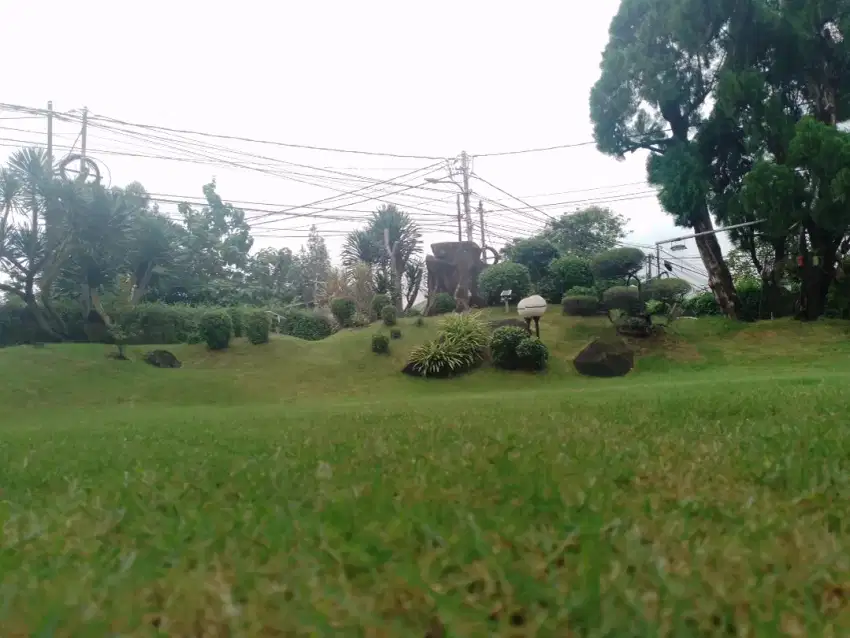 Tukang kebon panggilan