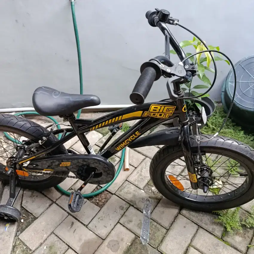 Sepeda Anak Wimcycle Bigfoot 3.0 ring 18