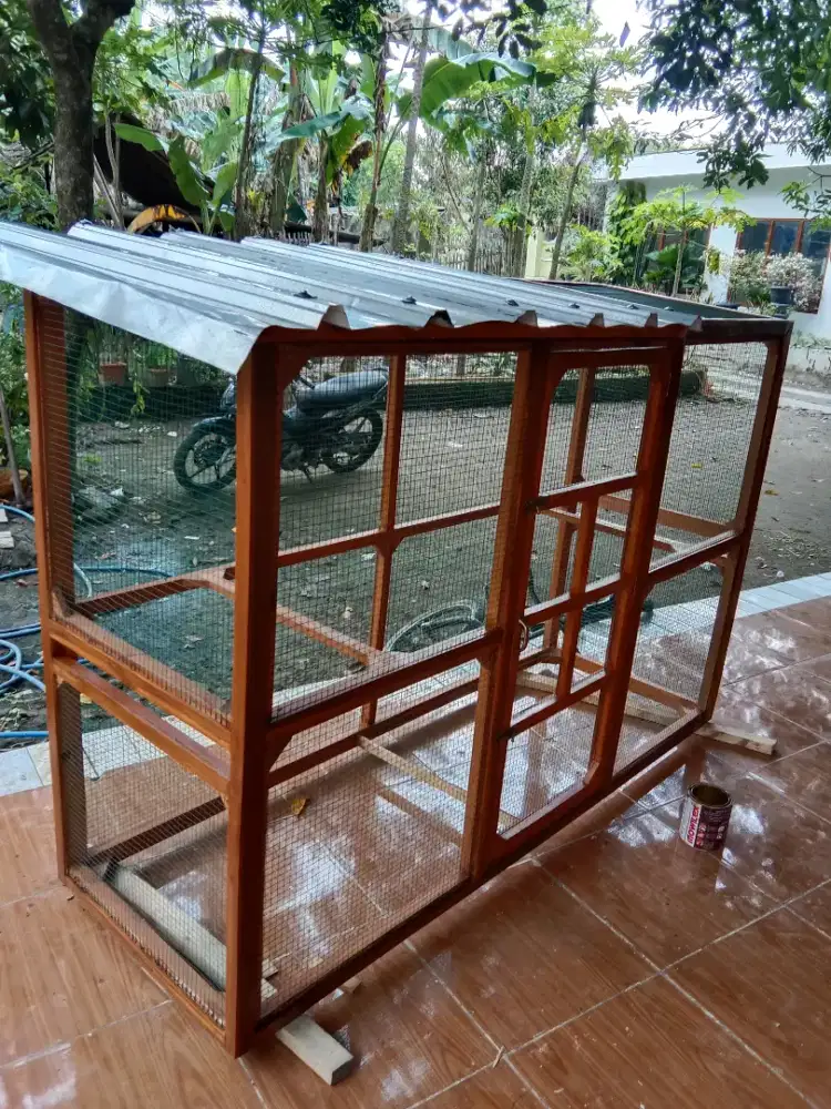 Polier burung bisa custom