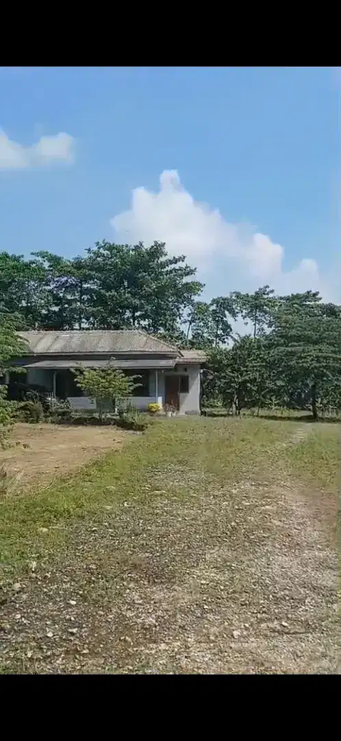 JUAL CEPAT TANAH LUAS DAN BANGUNAN DI CIKAHURIPAN