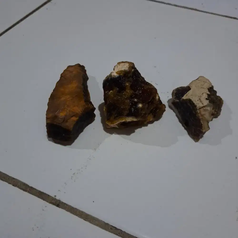 Natural bahan batu akik red raflesia bengkulu