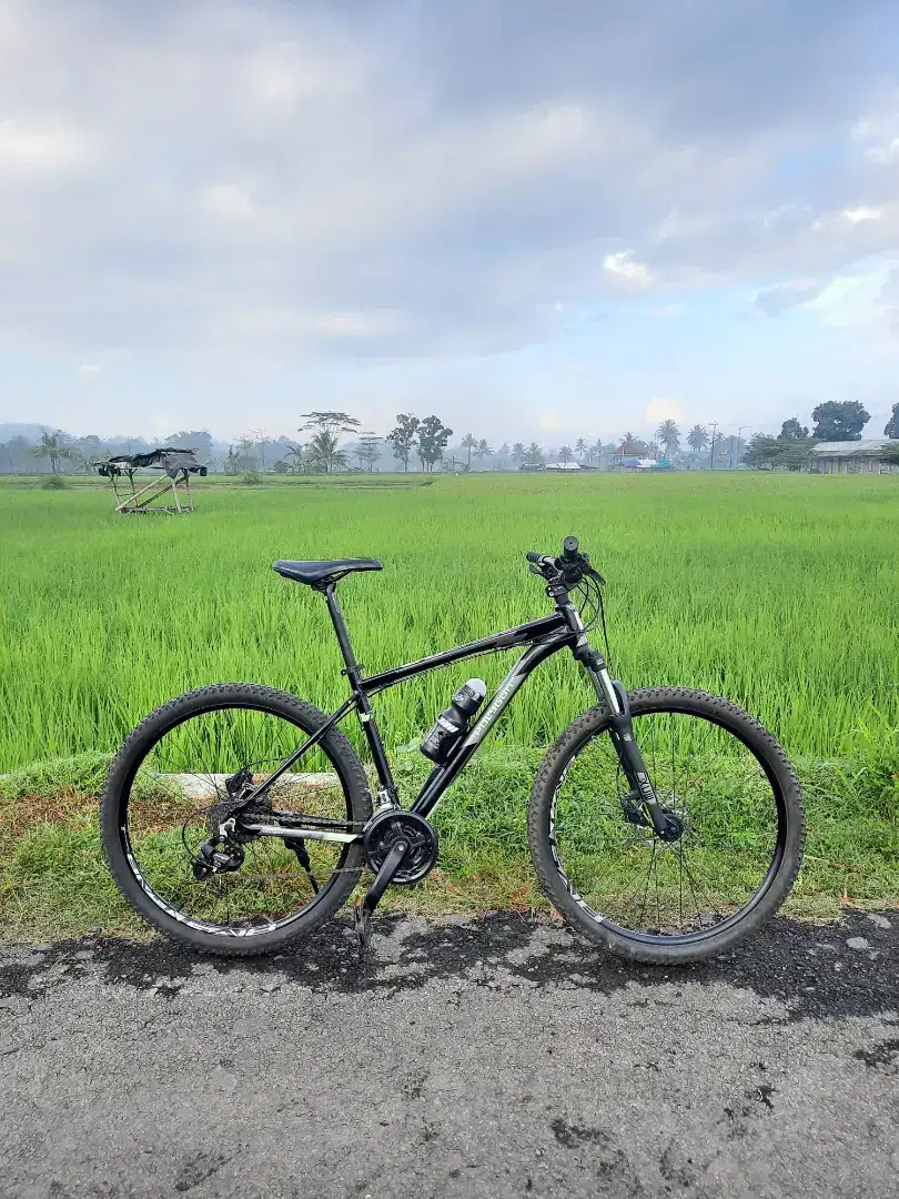 POLYGON CASCADE 4 TAHUN 2022