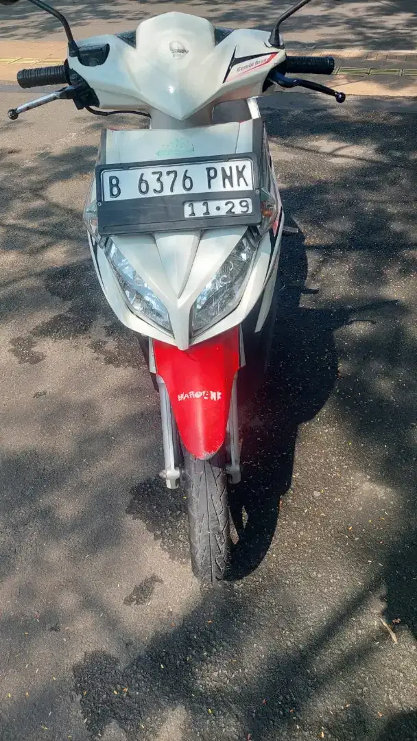 Vario Techno CBS 2009 karbu