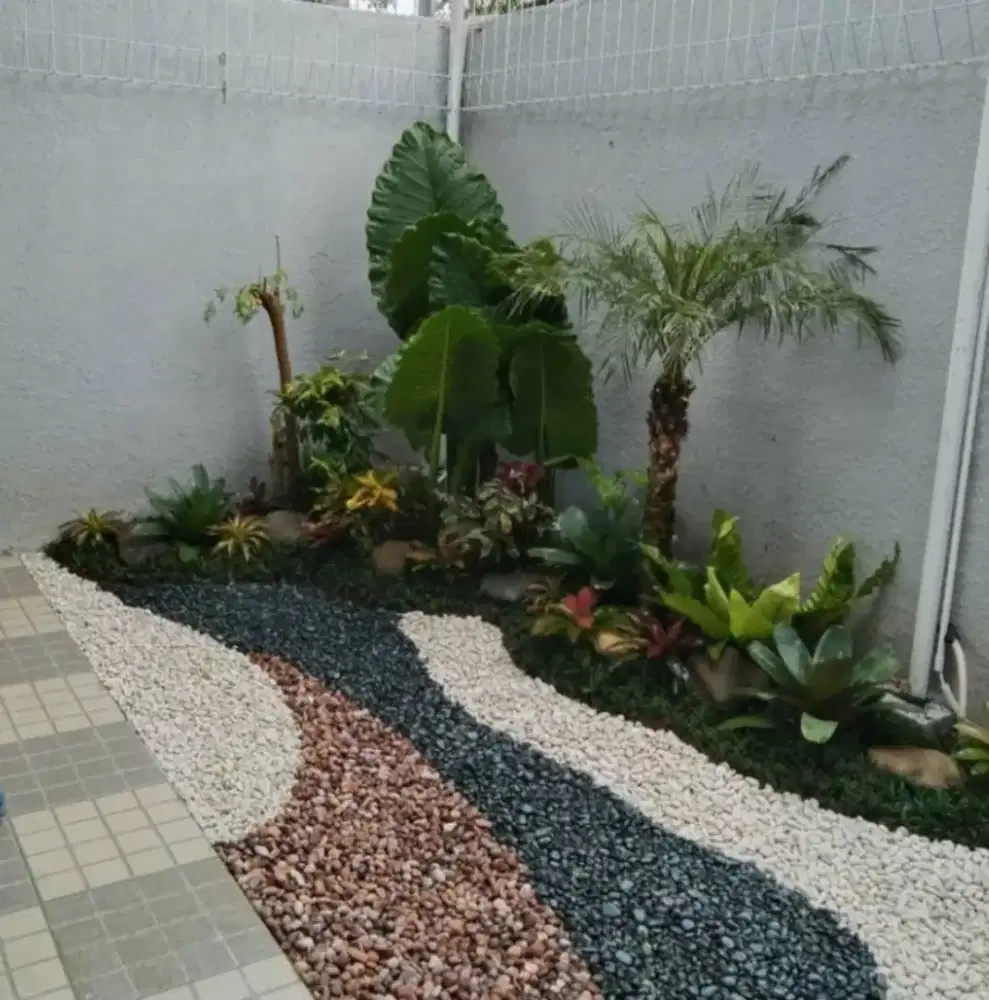 pembuatan taman kering