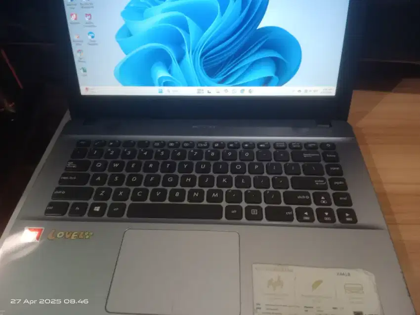 ASUS AMD Dual core A9 Radeon graphics X441B