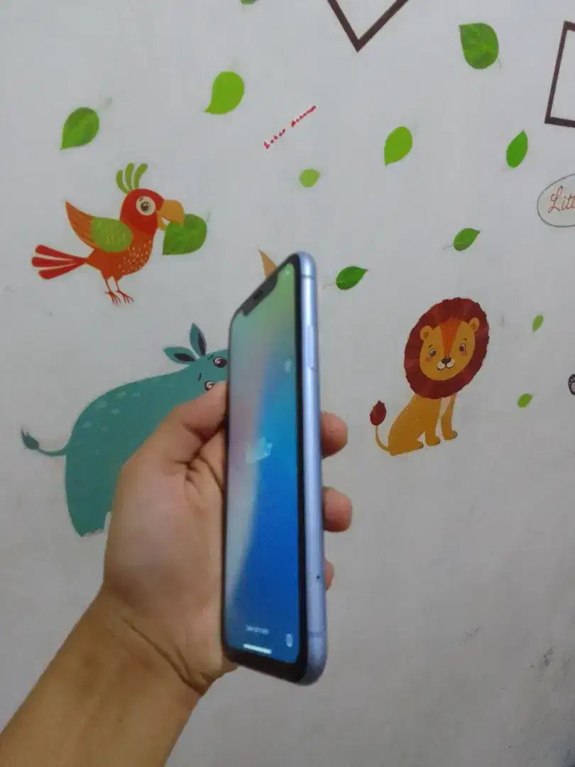 iPhone xr lock icloud