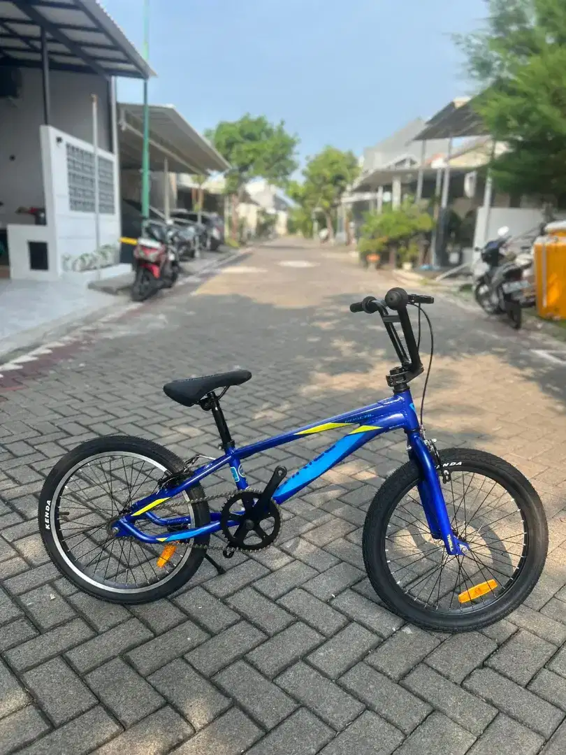 BMX Thrill Rascall 20 inci