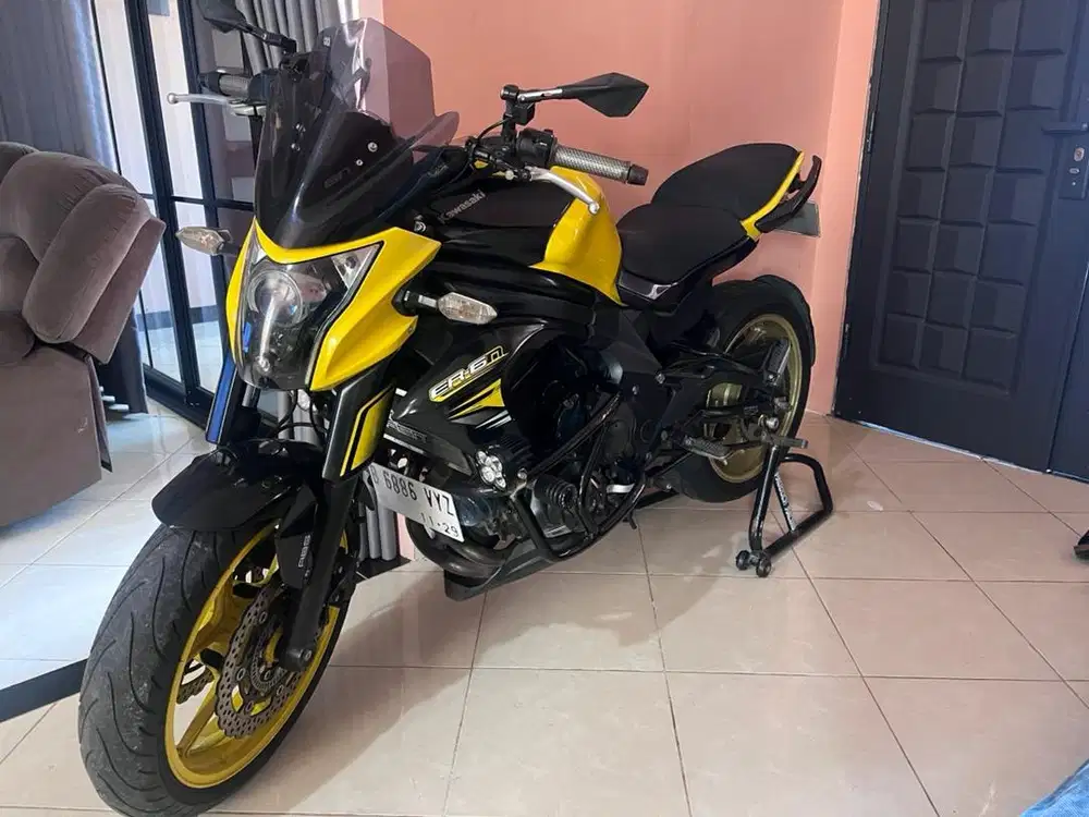 Kawasaki ER 6 N spesial Edition
