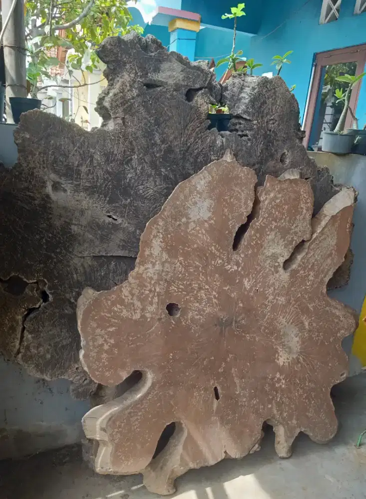 meja akar kayu jati  yang unik