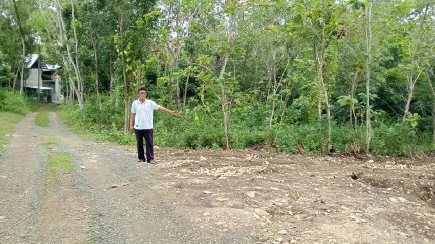 Tanah sudah dibuat rata di panjatan jual murah