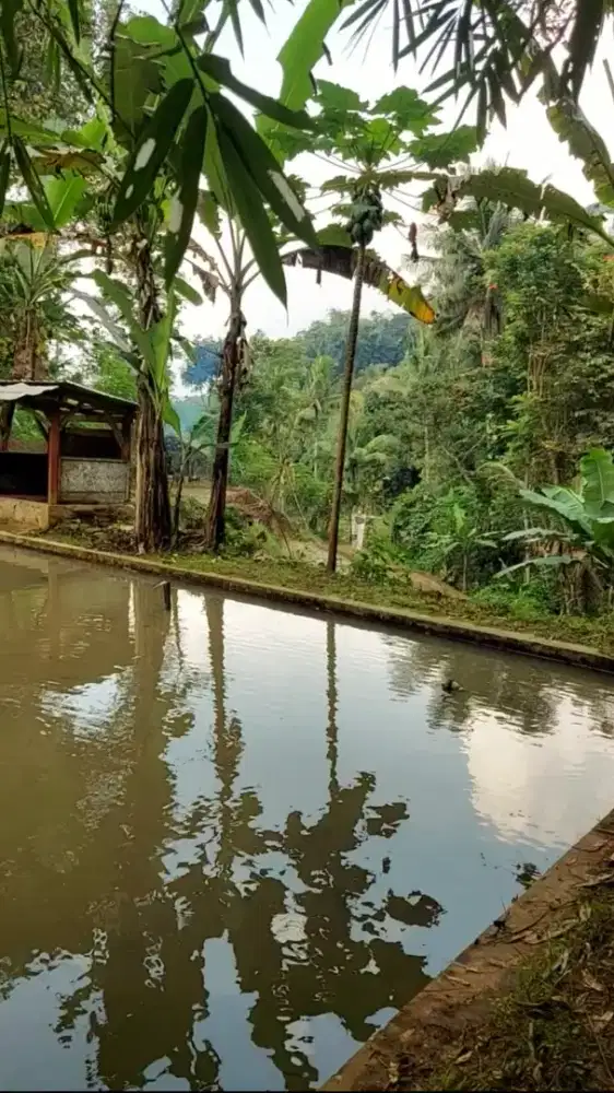 Dijual empang dan lahan