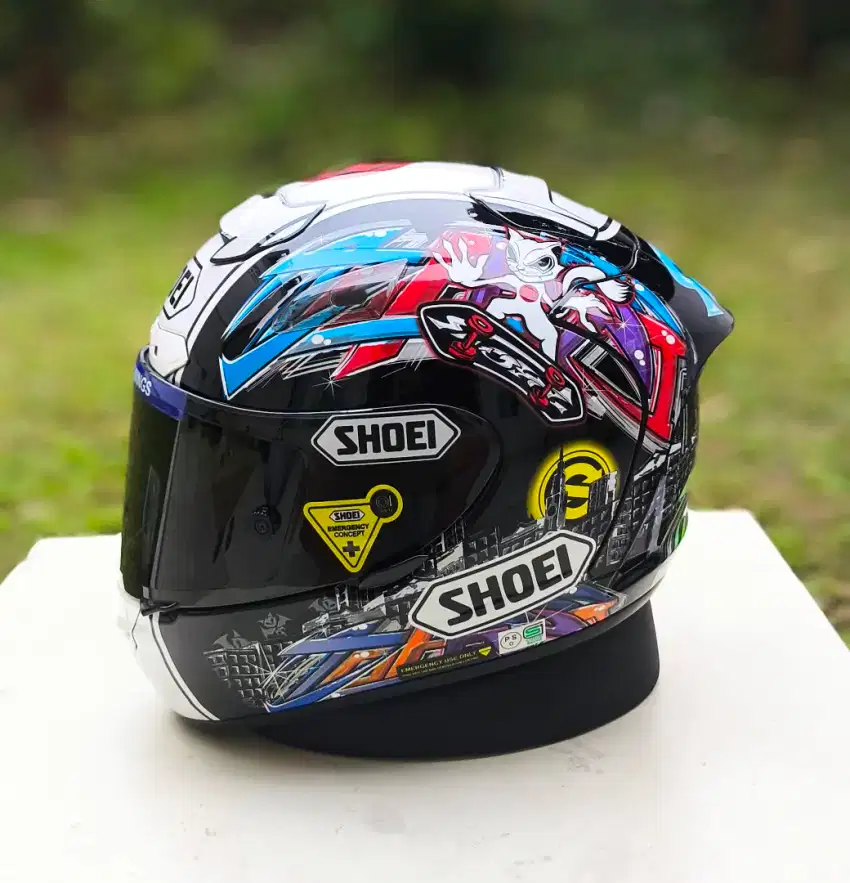 Shoei X12 Shoya Tomizawa size L