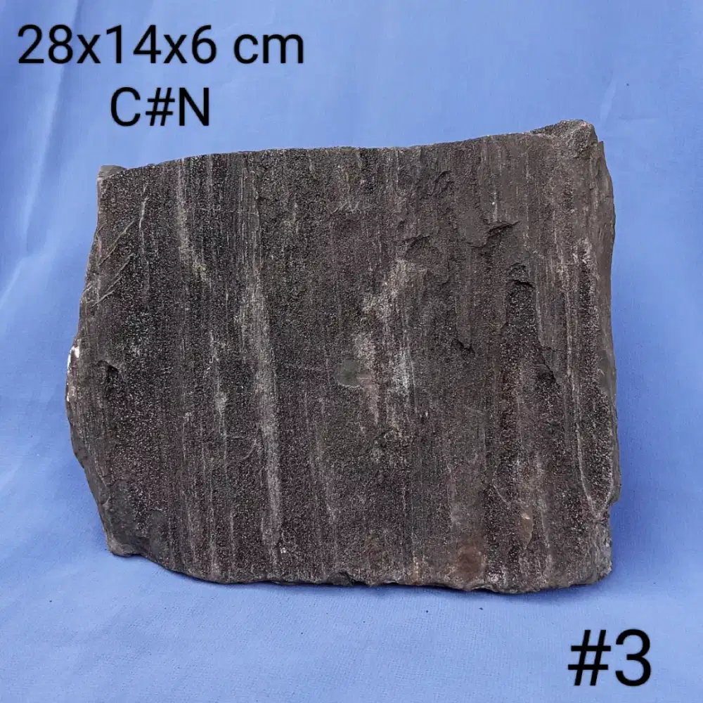 Suseki batu natural fosilkayu kelor