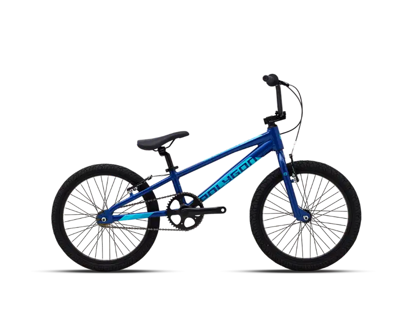 Polygon Rogue Blue Edition
