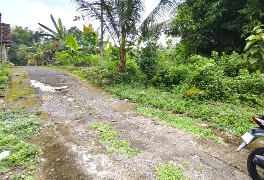 Tanah Pekarangan Harga Ekonomis di Balecatur