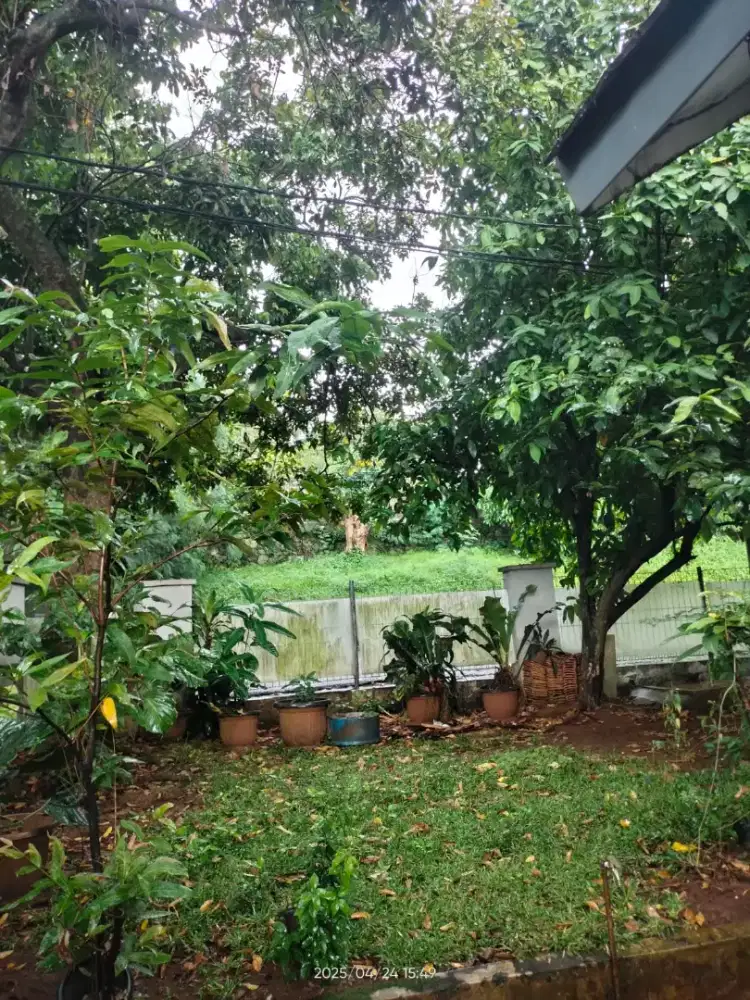 Taman outdoor gypsum dan partisi murah