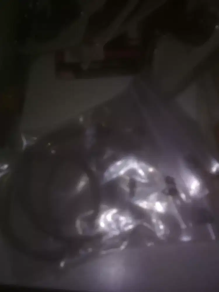 Daddario unpack gold