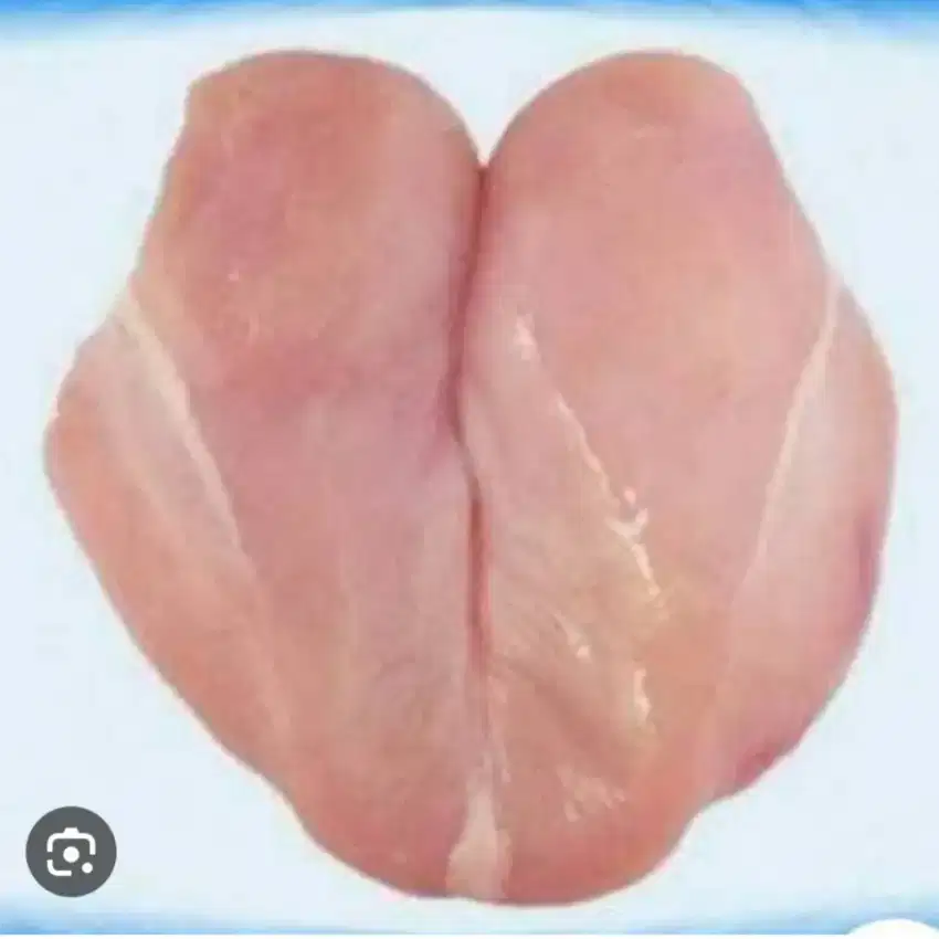 Jual Ayam potong dan Ayam fillet