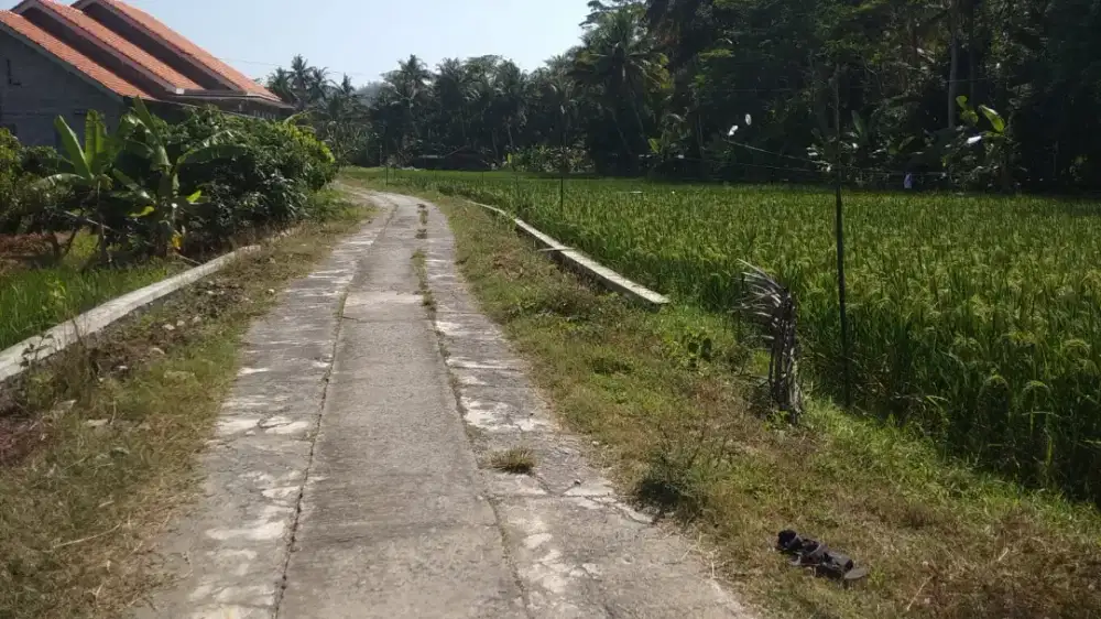 Jual Tanah Sawah Luas 700 m2 Depan Pintu Masuk Bandara YIA Yogya
