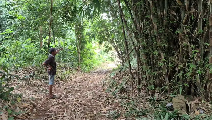 Tanah Dijual Murah Gunung Sindur