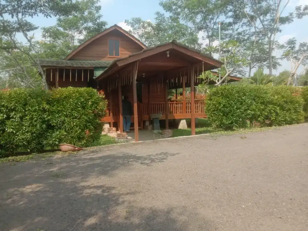 Kebun Buah siap panen Sudah tertata rapih Banyak bonus nya