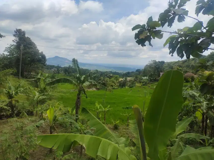 Lokasi jalan lebar Sangat Cocok buat usaha / yayasan D bogor timur