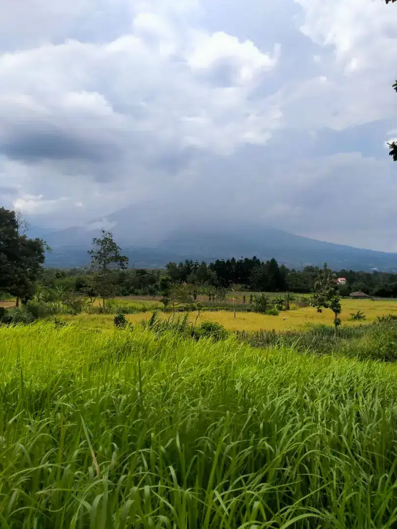 lokasi View gunung salak Kontur traf Sejuk