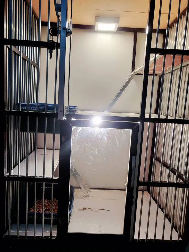 Re new Kandang 2 pintu, 2 unggakan dan 2 tangga didalamnya