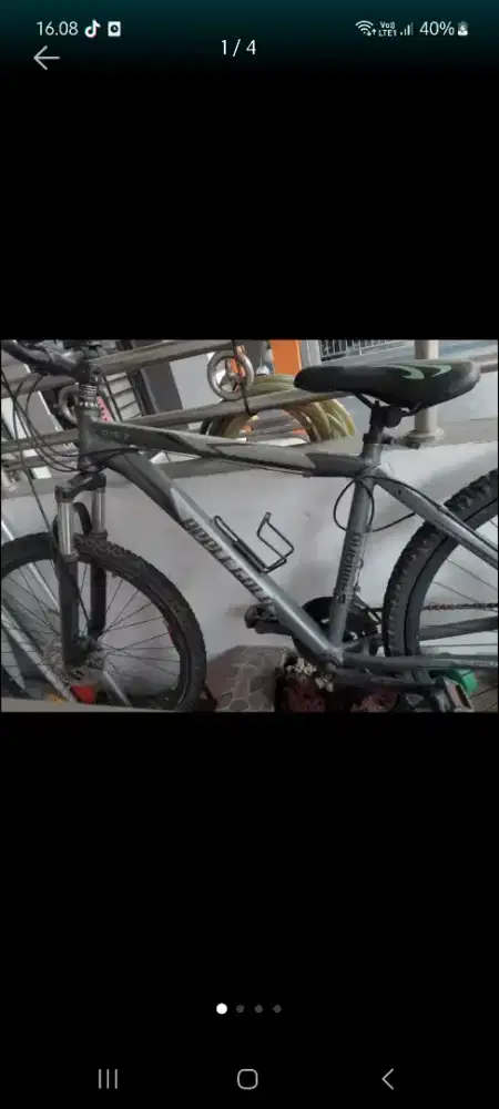 Sepeda gunung apple gold