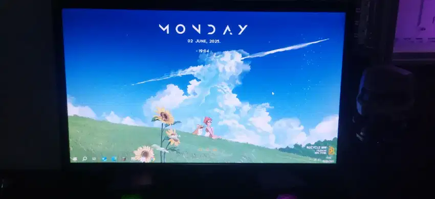 Monitor LCD AOC 19 Inch