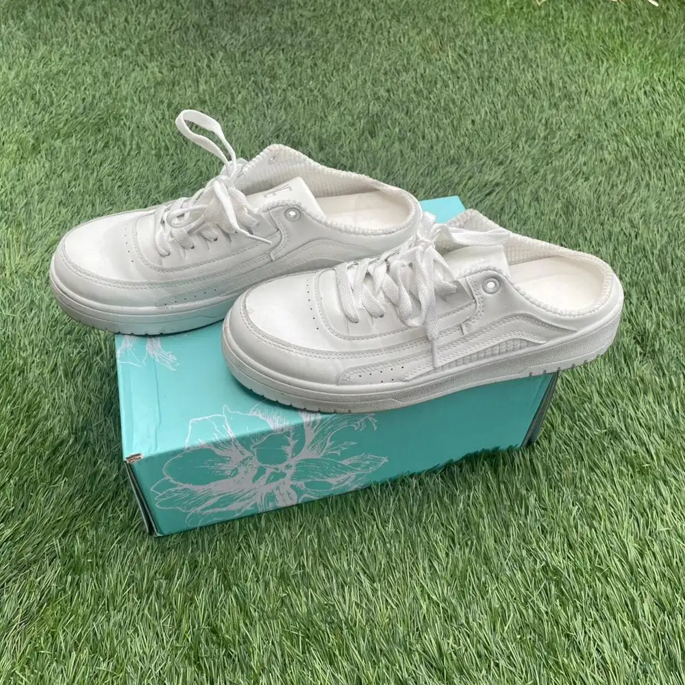 Sepatu Wanita LEV Slip On