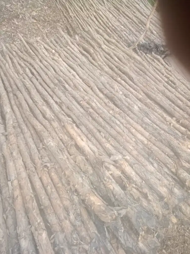 Kayu gelam,ukuran 5*7,6*8,8*10,steger dan cerucup pondansi bangunan