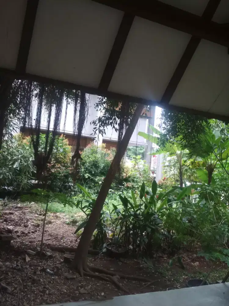 Kerja freeland  jual Rumah,tanah kosong,gudang