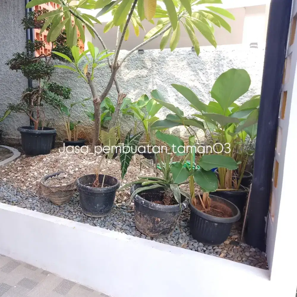 Taman kering - pembuatan taman kering - taman halaman rumah