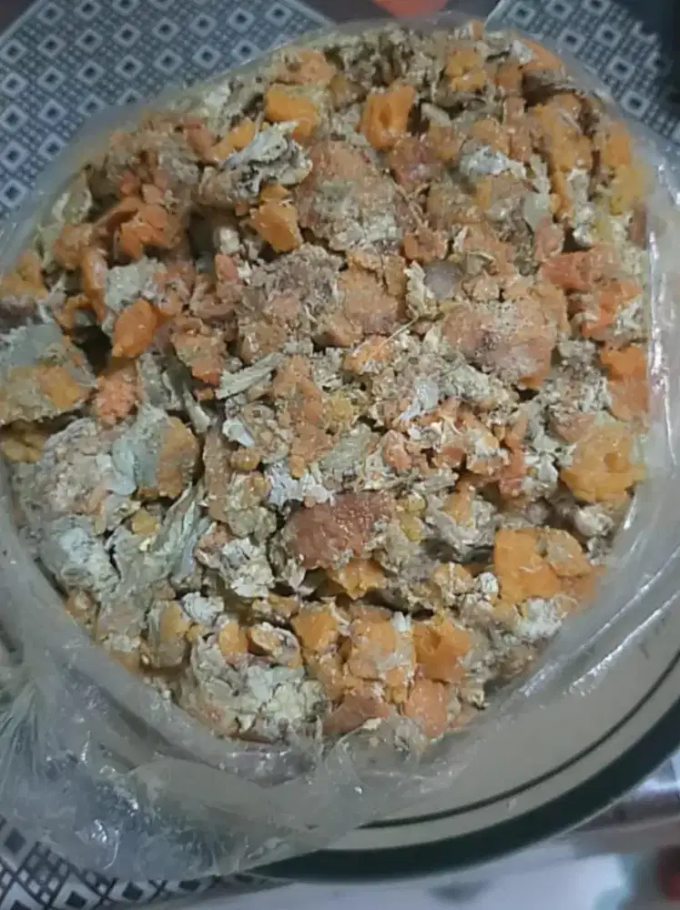 Telur rajungan matang belum bumbu