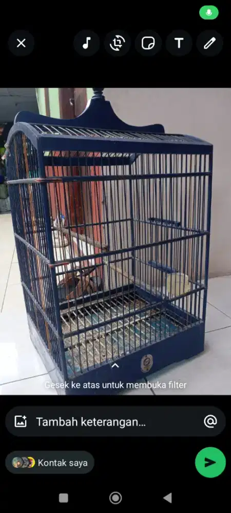 KANDANG EBID  KOTAK NO 2