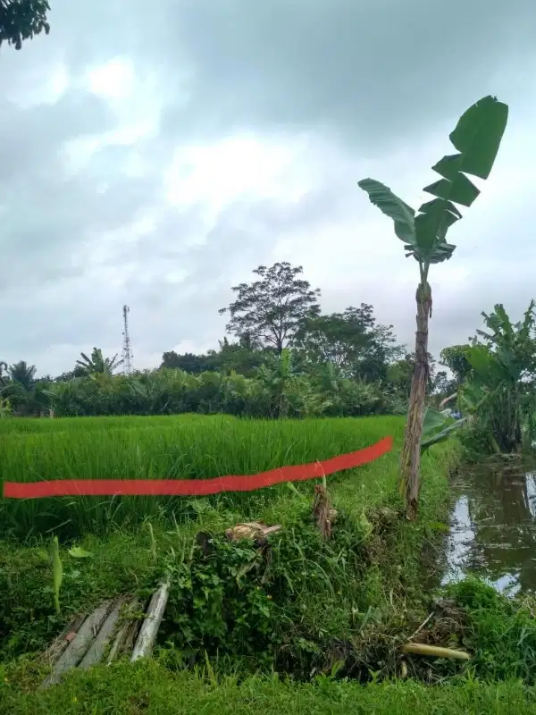 Tanah View Merapi di Pakem jl Kaliurang km. 17