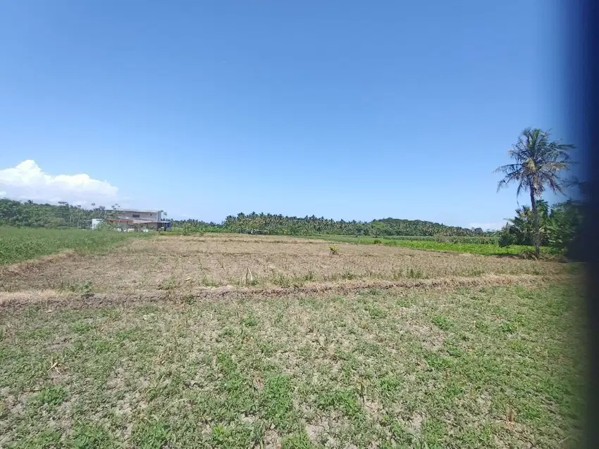 Jual sawah produktif, Lokasi strategis