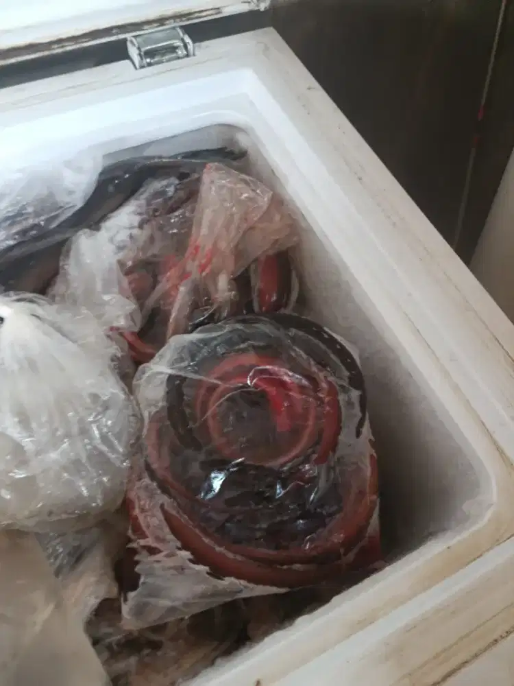 Belut Super Frozen 500 gr