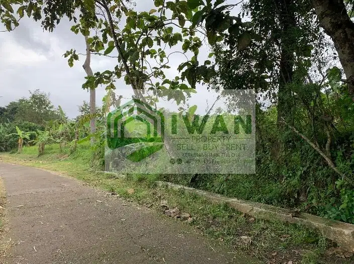 Tanah Murah & Luas Hadap Jalan Lebar Dengan View Bagus Dekat Pemukiman