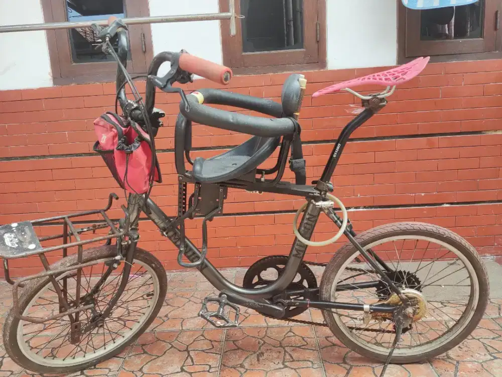 Sepeda Minion 20 + Boncengan