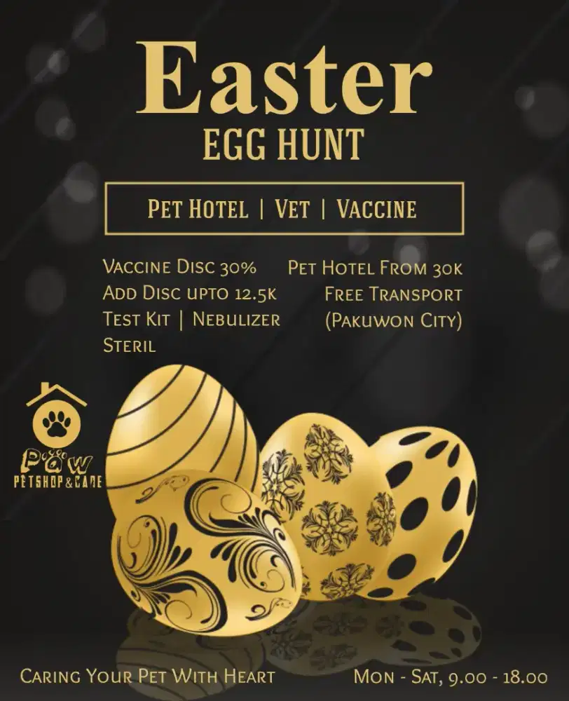 penitipan kucing pakuwon city