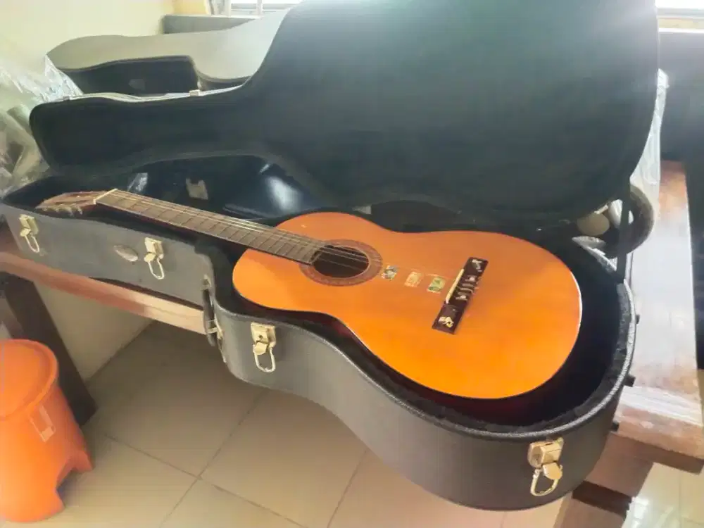 Guitar C310 plus Box