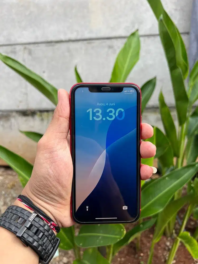 Iphone 11 256GB jual murah