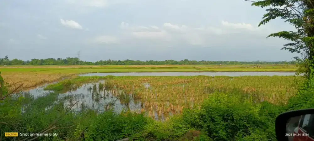 JUAL KAVLING JLN BYPASS SURAMADU,BANGKALAN MADURA,