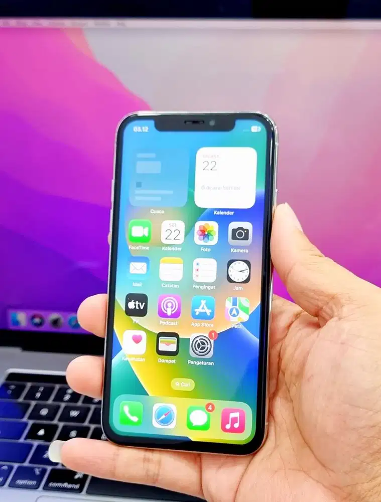 Iphone X 256GB Mulus ( Inter )