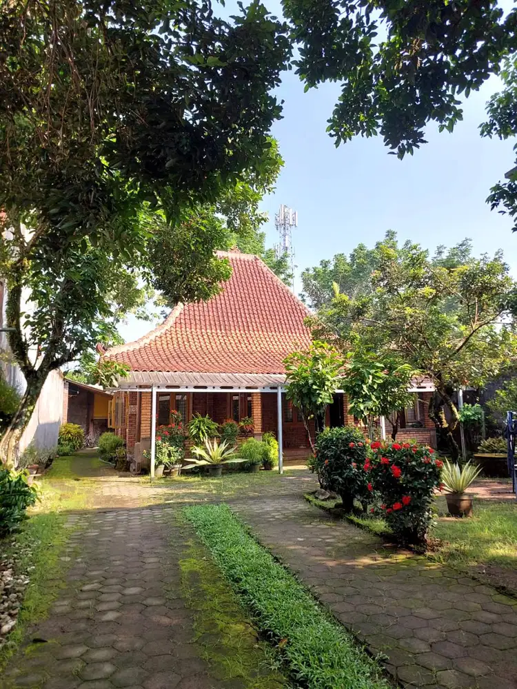 Rumah Etnik Halaman Luas dekat Jalan Damai