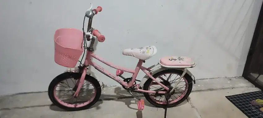 Sepeda anak cewe perempuan pink